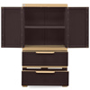 Picture of Nilkamal Freedom Cabinet with 2 Drawers (Weather Brown and Biscuit)